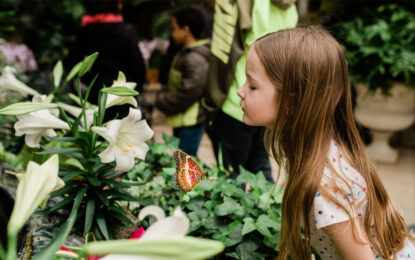 La 26a Exposición Anual de Mariposas de Meijer Gardens Explora Una Era de Descubrimiento y Destaca la Historia del Caso Wardian