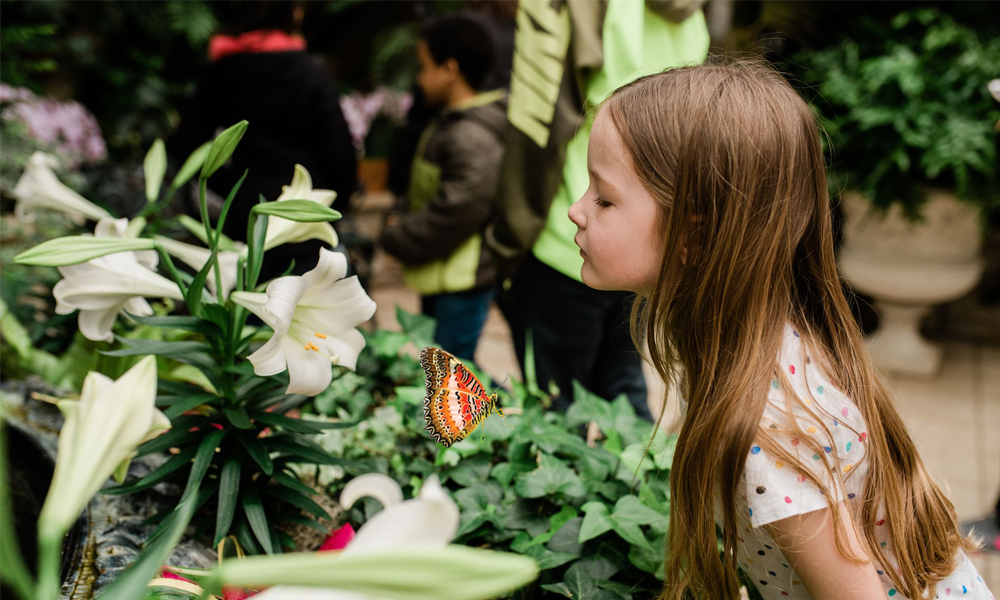Frederik Meijer Gardens & Sculpture Park's 26th Annual Butterfly Exhibition butterflies Grand Rapids Michigan