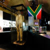 Nelson Mandela Grand Rapids Public Museum